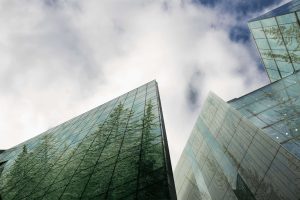 A reflection of trees in the exterior of a skyscraper